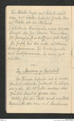 Seite 20, Tagebuch "Hallstatt" (NHMW-PRAE-BBB-90)